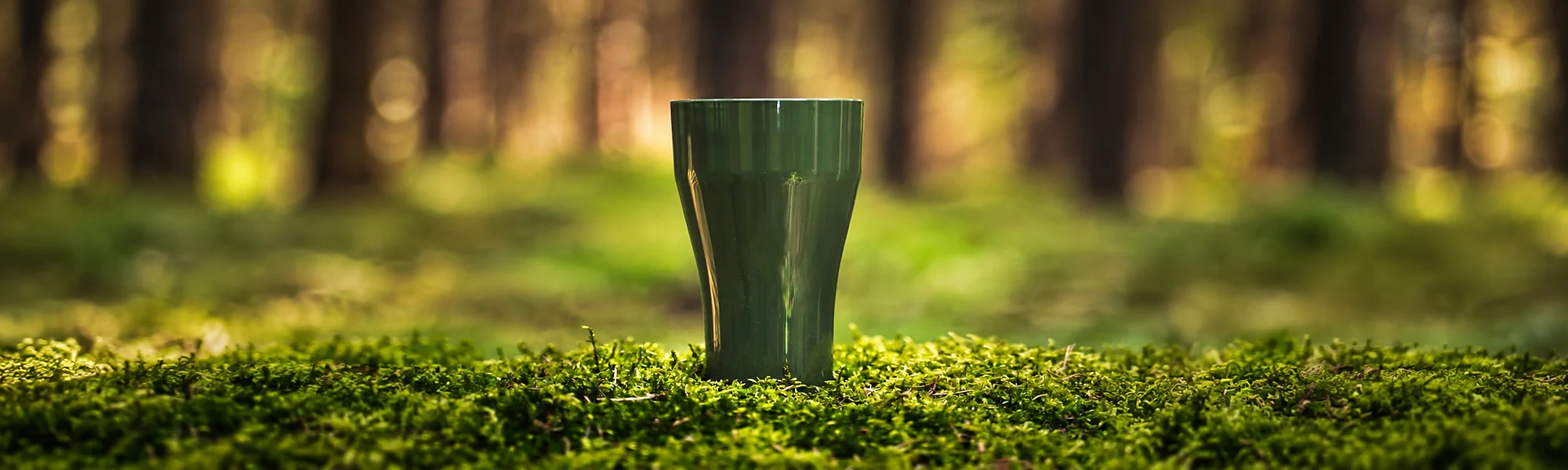 Dunkelgrüner Spritzgussbecher auf Moos im Wald